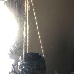 Hanging Flower Pot