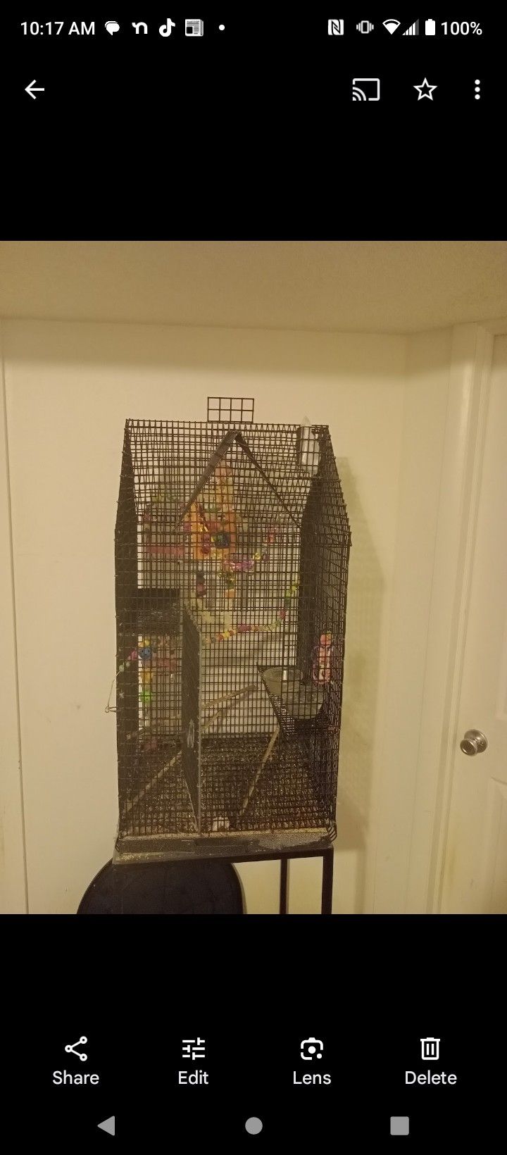 Big Bird Cage