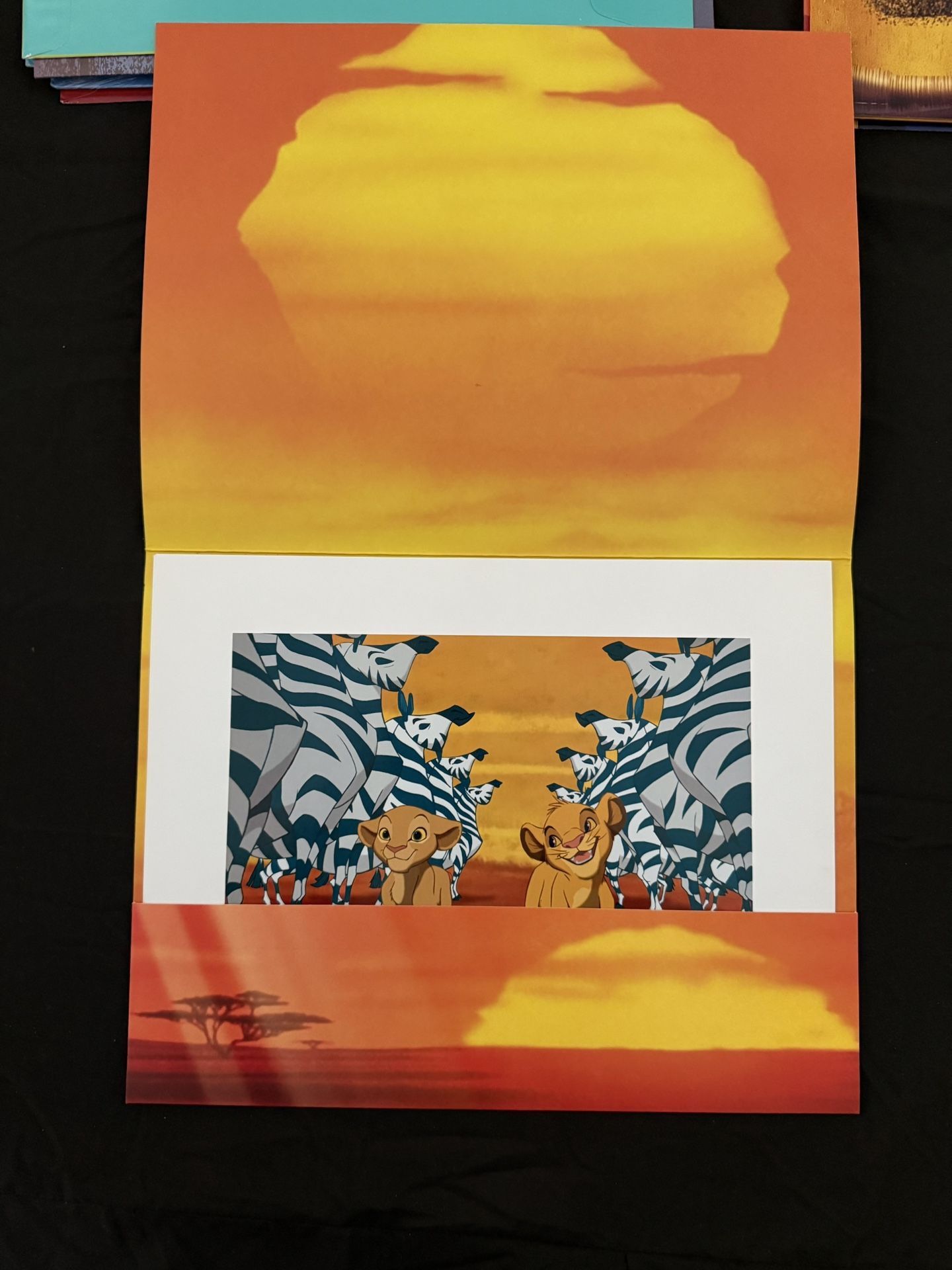 Disney Store The Lion King