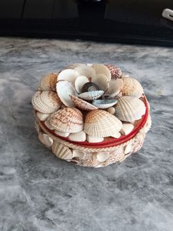 Seashell Decorative Trinket Box