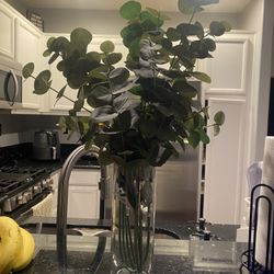 Plant Decor