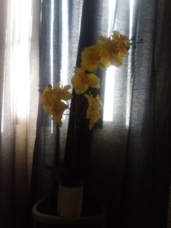 Fake orchid decor
