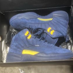 Michigan Jordan 12