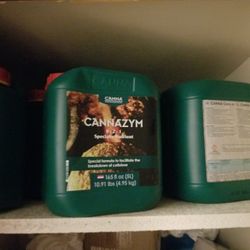 Canna Plant Nutrition 