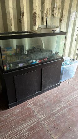 Fish Tanks