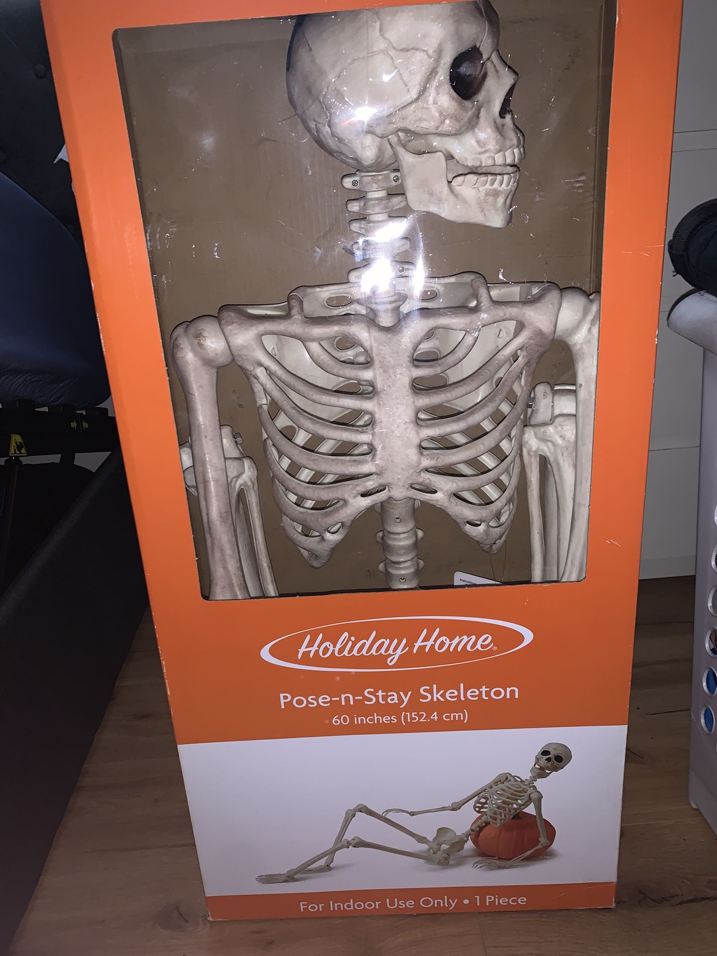 Pose And Stay  60 Inch Skeleton