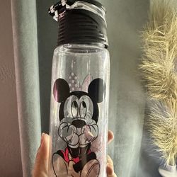 Disney Water bottle 