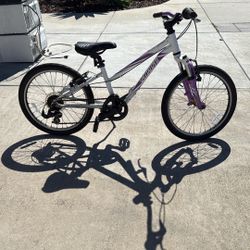 20 Inch Specialized Mountain Bike