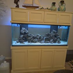 240 Gallon Saltwater Fish Tank
