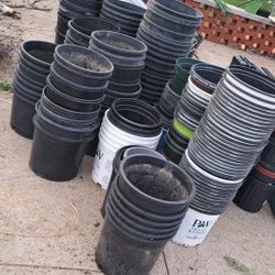 Pots From 2 Gallons To 20 Gallons From $1-$4 Each 
