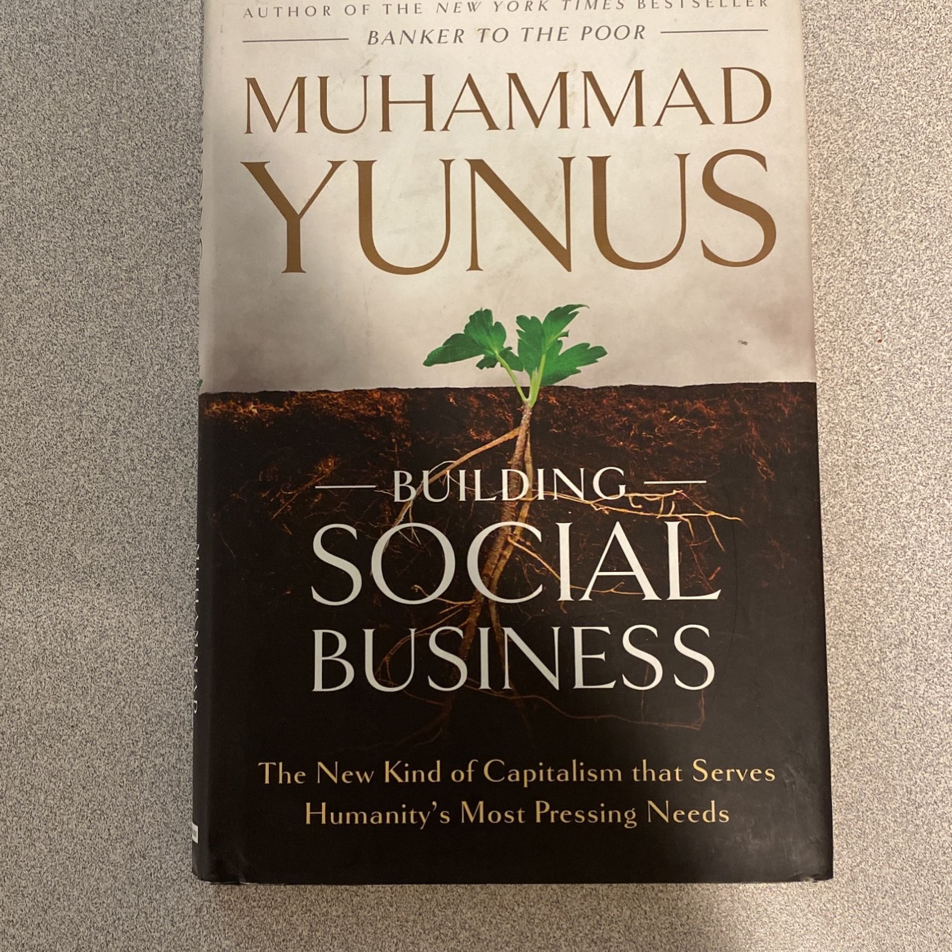 Buliding social Business