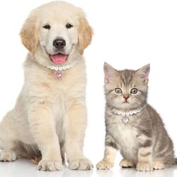 2pcs Cat Pearl Necklaces, Cute Heart Shaped Pendant Cat Dog Collar Adjustable L