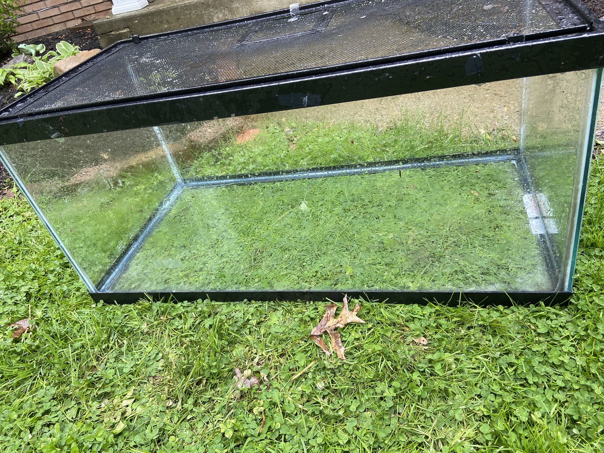 40 Gallon Breeder Tank