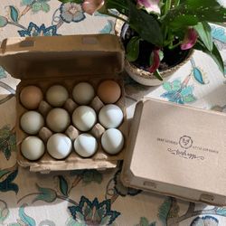 Free Range $7 A Dozen