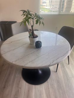 Petra White Marble 44” Dining Chairs Set of 2