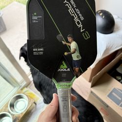 Pickleball Paddle