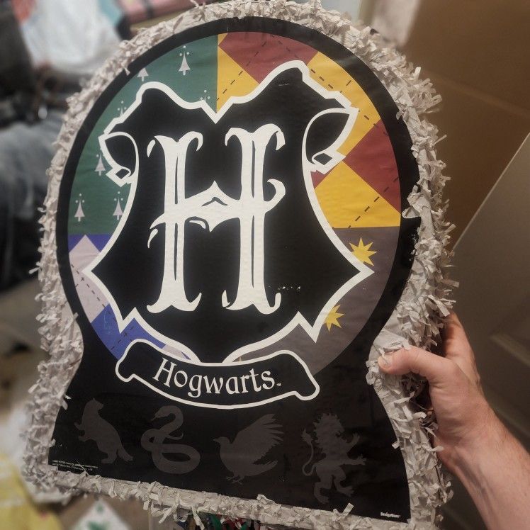 Harry Potter Piñata