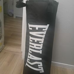 Everlast Punching Bag 