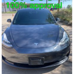 2019 Tesla Three 💯 % Approval