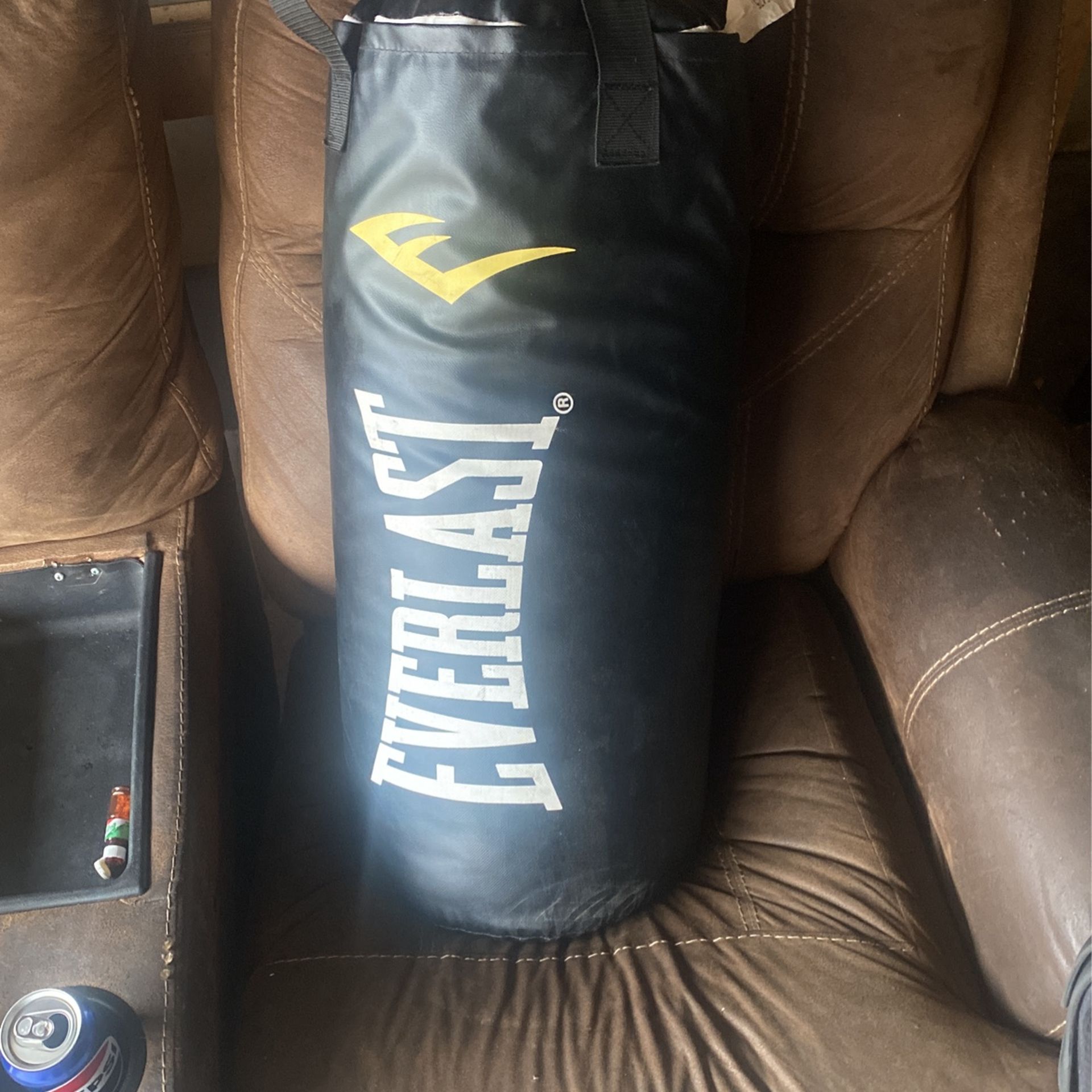 Everlast Punching Bag