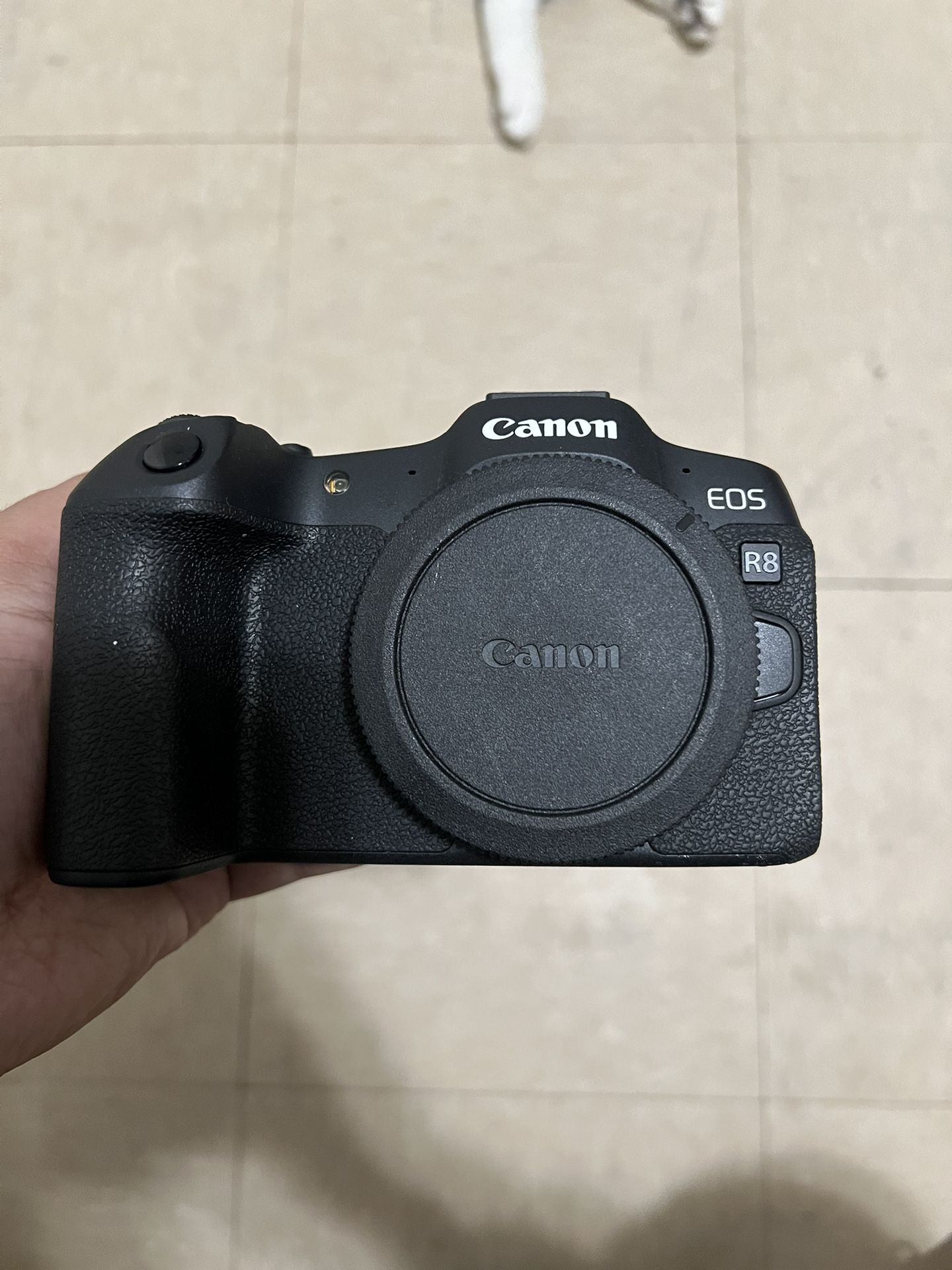 Canon R8 