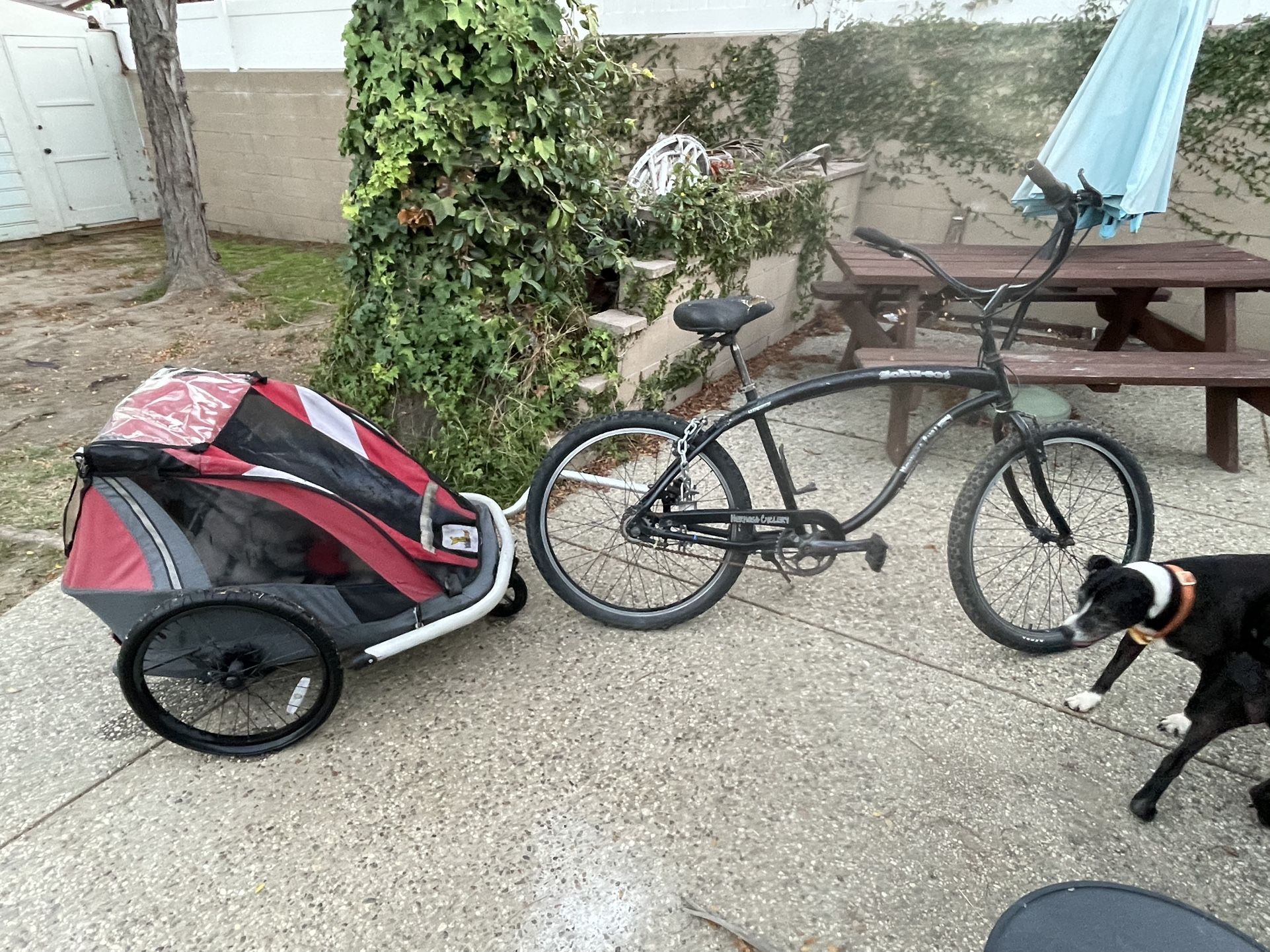 7 Speed Hermosa Cyclery With Kidarooz Bicycle Trailer