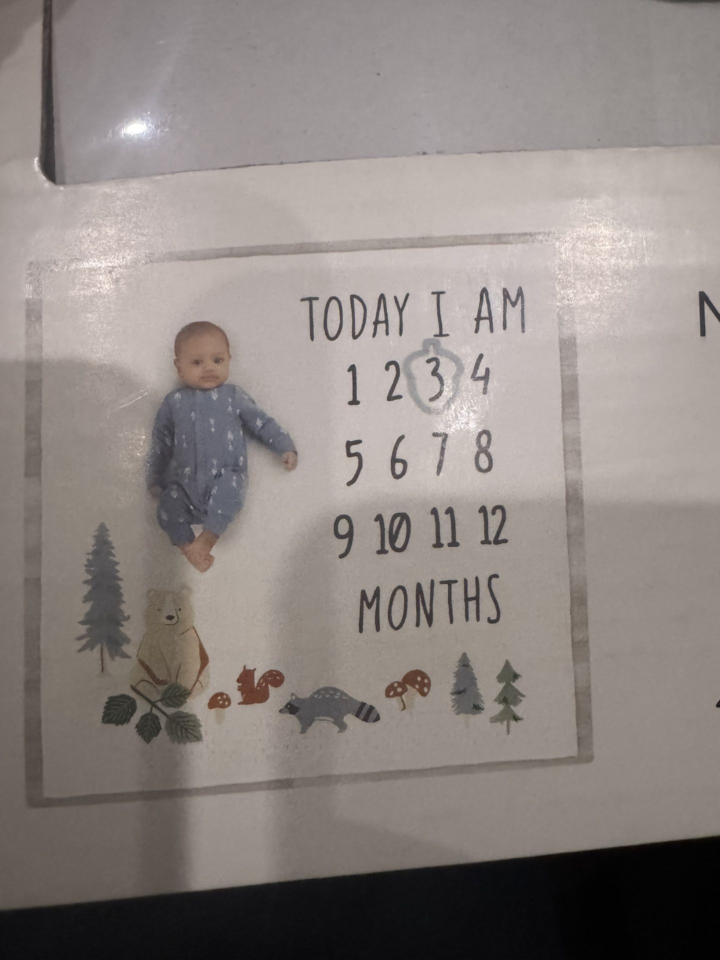 Monthly Milestone Blanket And Frame Set