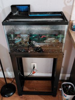 10 gallon fish tank wt stand