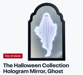 🎃 Halloween Hologram Mirror Light Up Ghost 116 LED USB 14” x 23.74” 🎃