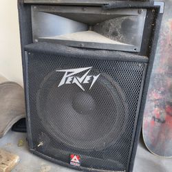 Peavey Speaker