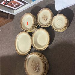 Beutiful Brown Dish Set 