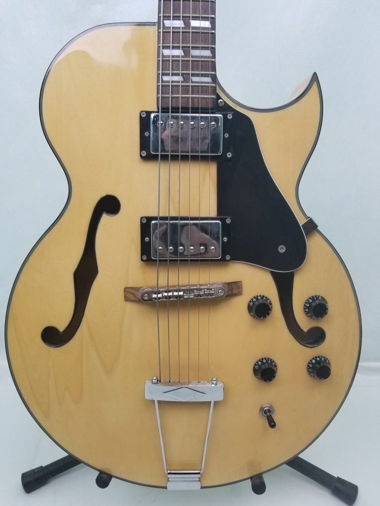 Jay Turser JT136 Hollow Body Electric Guitar