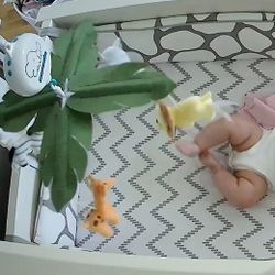 Safari Crib Mobile 