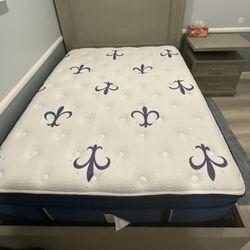 Stearns & Foster Queen Studio Mattress Pillow Top