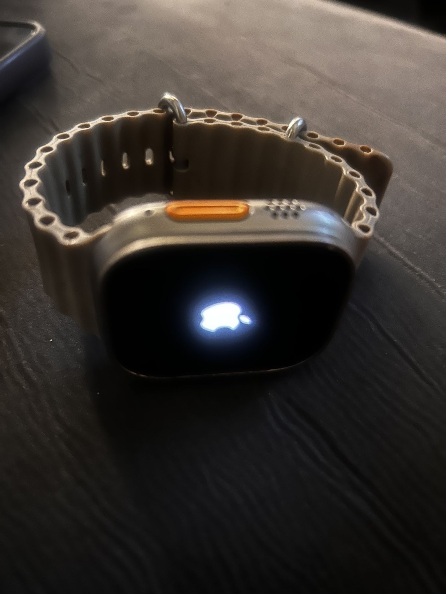 Apple Watch Ultra 1