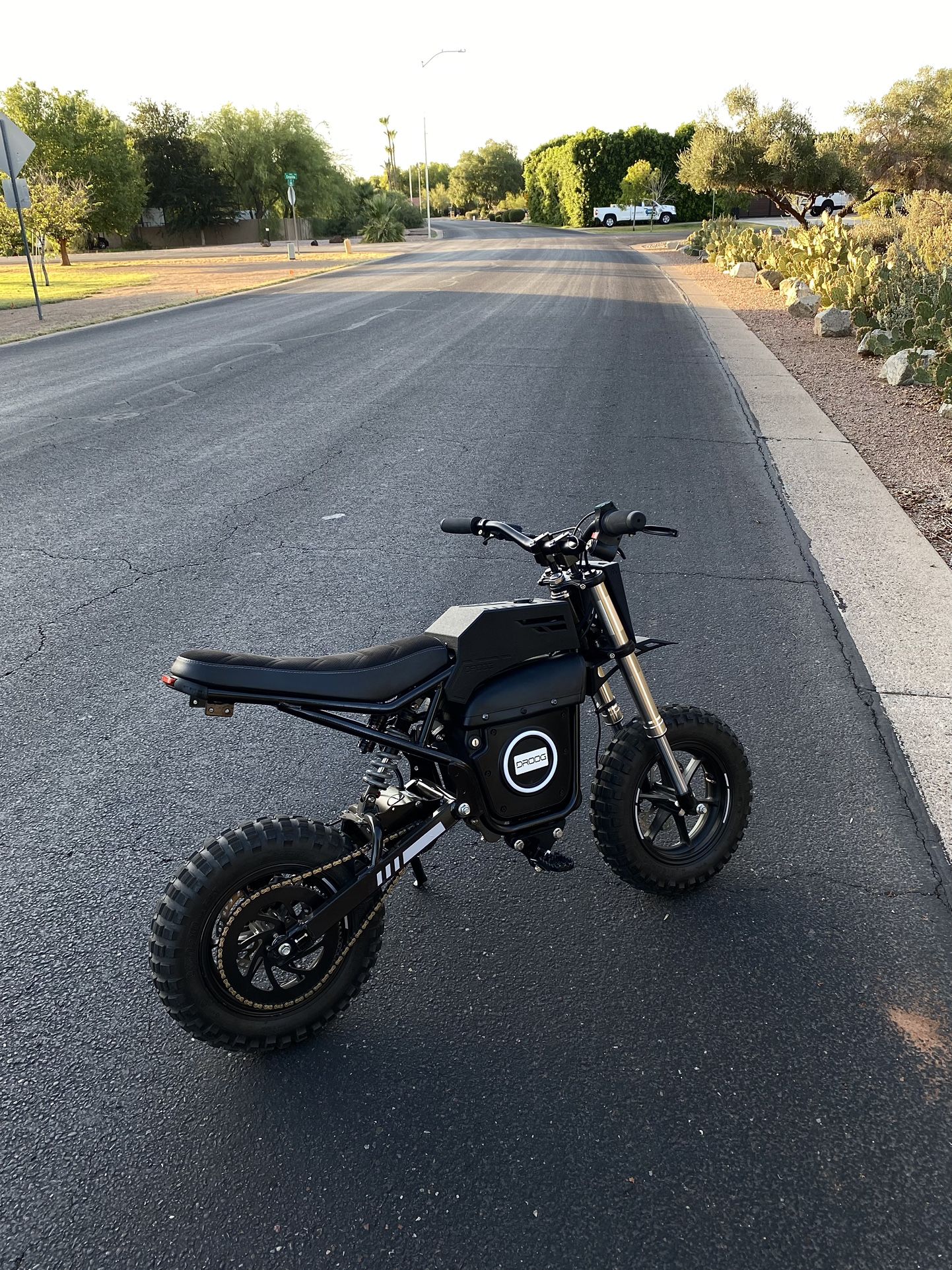 Electric Pit Bike 