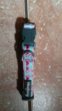 Blueberry Dog Collars small