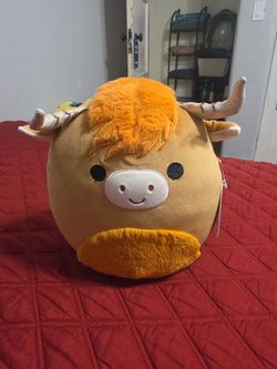 Squishmallow Highland Cow Plush