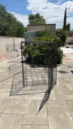 Extra Large Dog Kennel