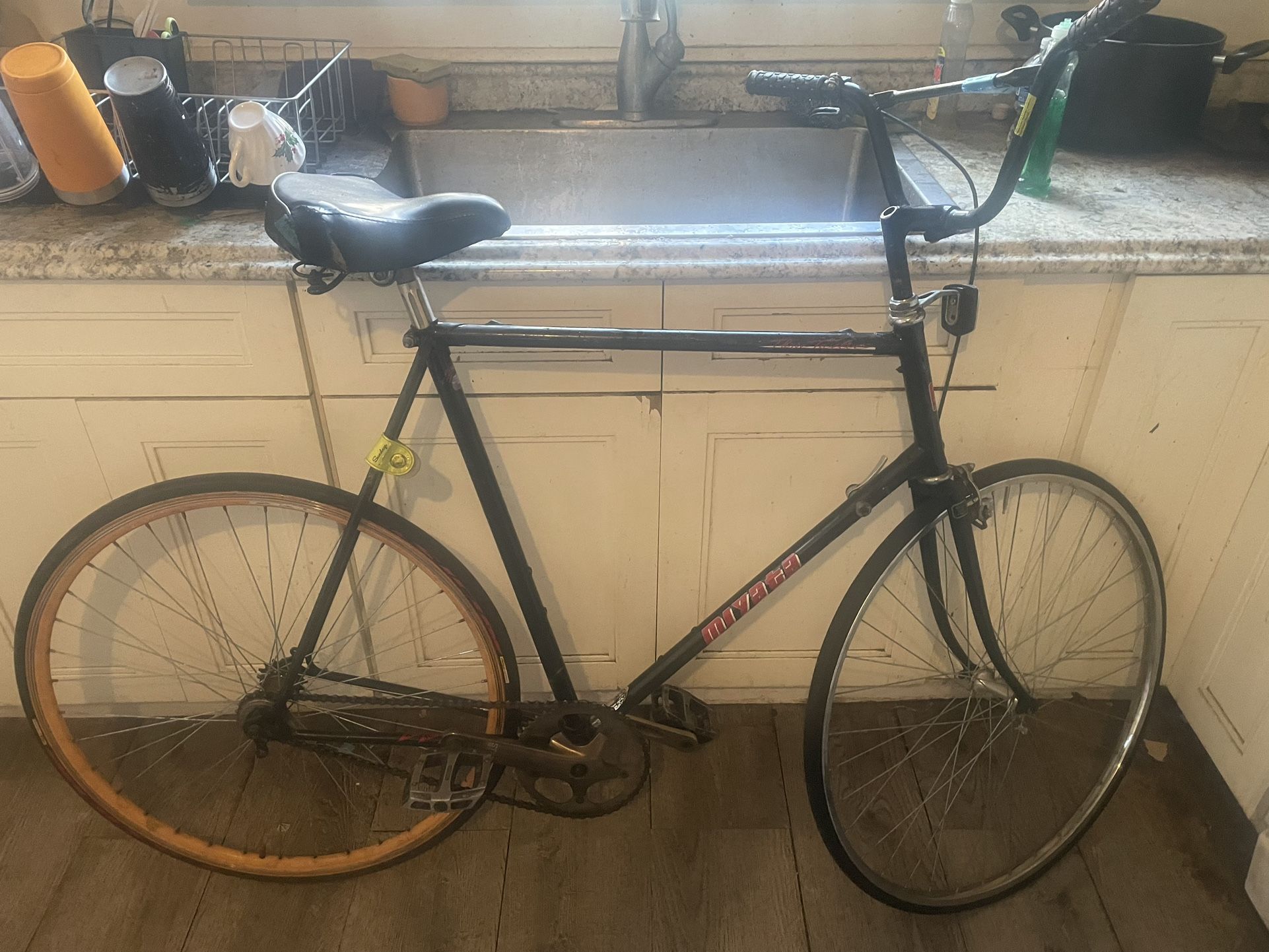 Xl 6’1-5 Single Speed City Bike Custom
