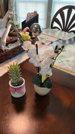 Faux Orchid and Succulent Mini Potted Plants Set