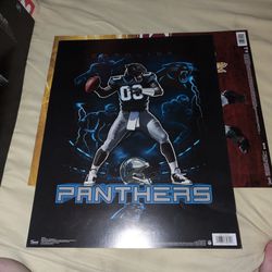 Panthers Football Poster