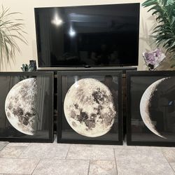 Moon Pictures 