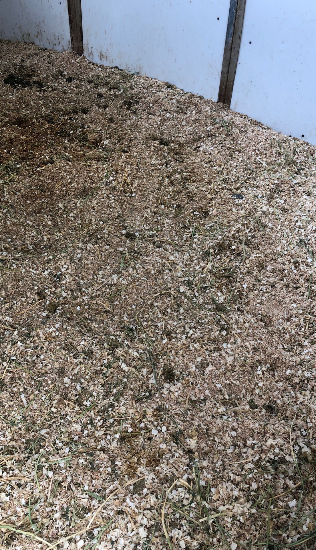 Free Manure