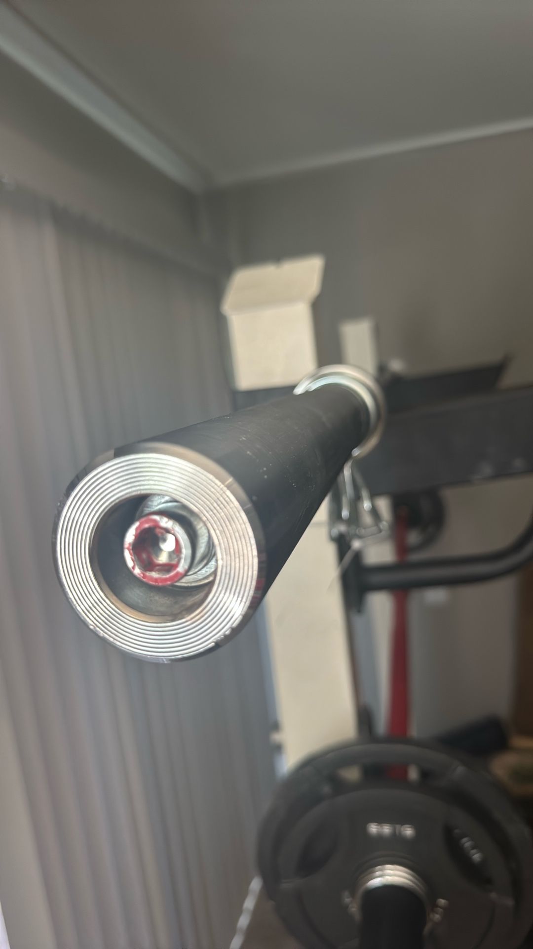 Barbell 45 Lbs