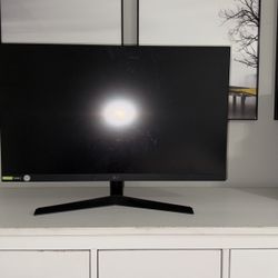 LG Monitor