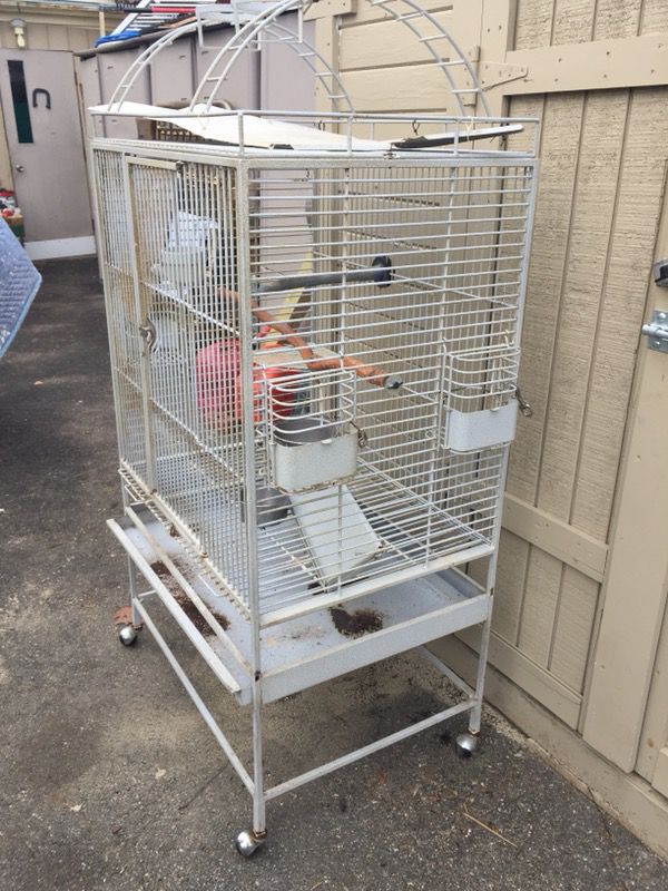 Large cage for birds great shape 5 feet heigh 32 width 23 length