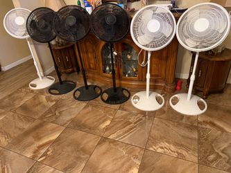 18 in. 3 speed oscillating pedestal fan.