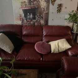 One Year Old Red Leather Couch