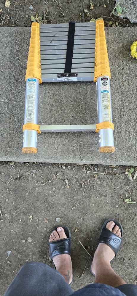 Ladder